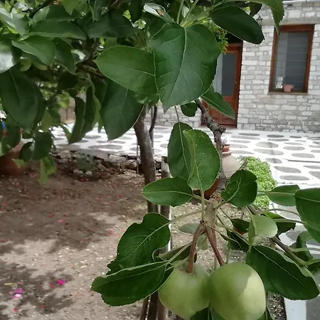 Holiday home Traditional House Antigoni Theologos (Thasos)